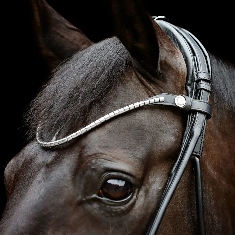 Finesse Small Clincher Browband - Silver/Back