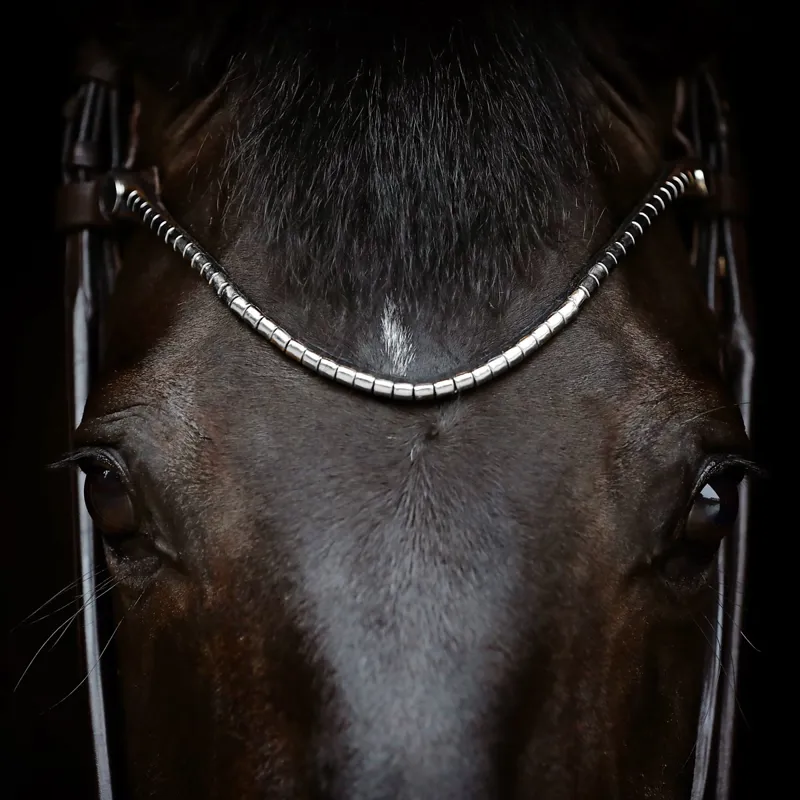 Finesse Small Clincher Browband - Silver/Back-1