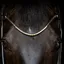 Finesse Small Clincher Browband - Gold/Back