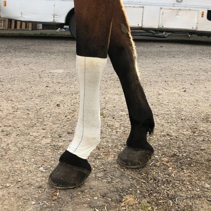 Equi-N-Ice Ice-Socks-3