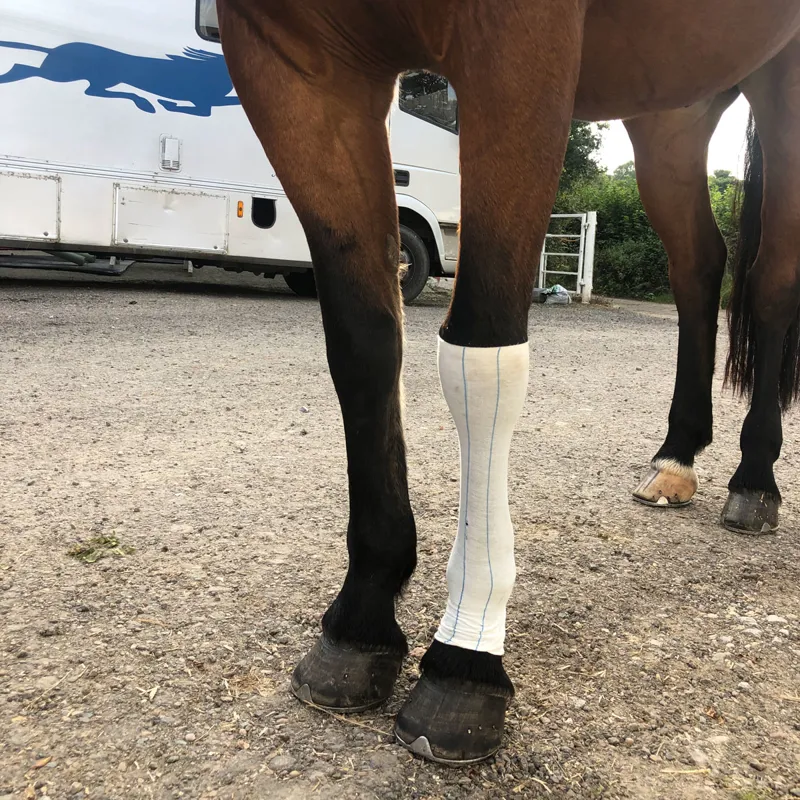 Equi-N-Ice Ice-Socks-2