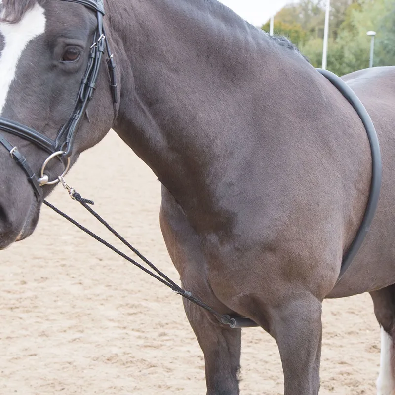Shires Soft Lunging Aid - Black