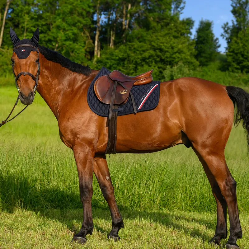 Tommy Hilfiger Stanford Jump Saddlecloth - Desert Sky-5