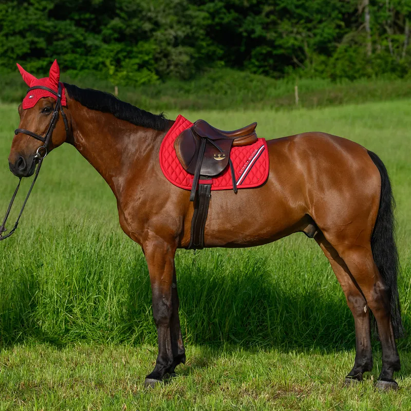 Tommy Hilfiger Stanford Jump Saddlecloth - Primary Red-6
