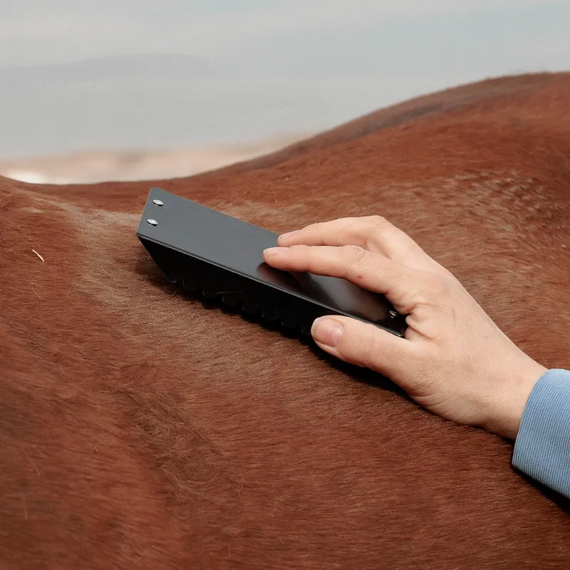 Grooming Deluxe Steel Curry Comb - Black-2