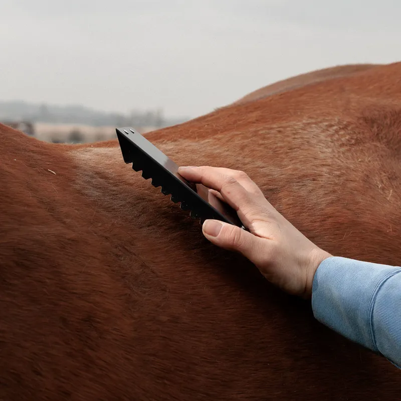 Grooming Deluxe Steel Curry Comb - Black-1