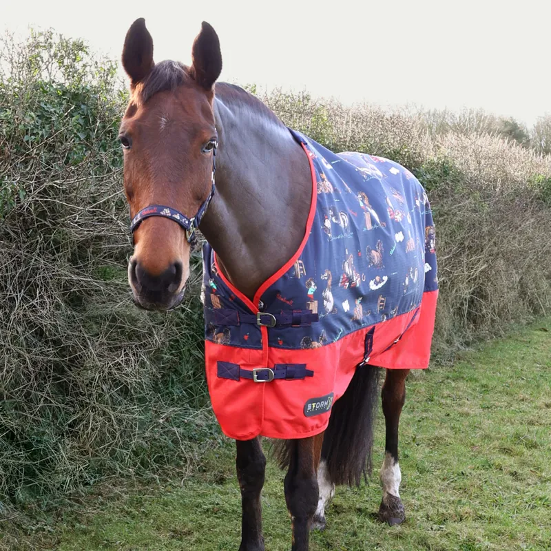 StormX Original 100g Turnout Rug - Thelwell Practice Makes Perfect-1