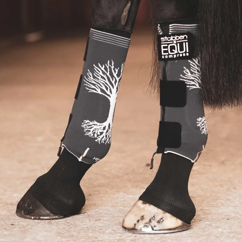 Stubben x EQUI Compress Hind Stockings Set - Grey