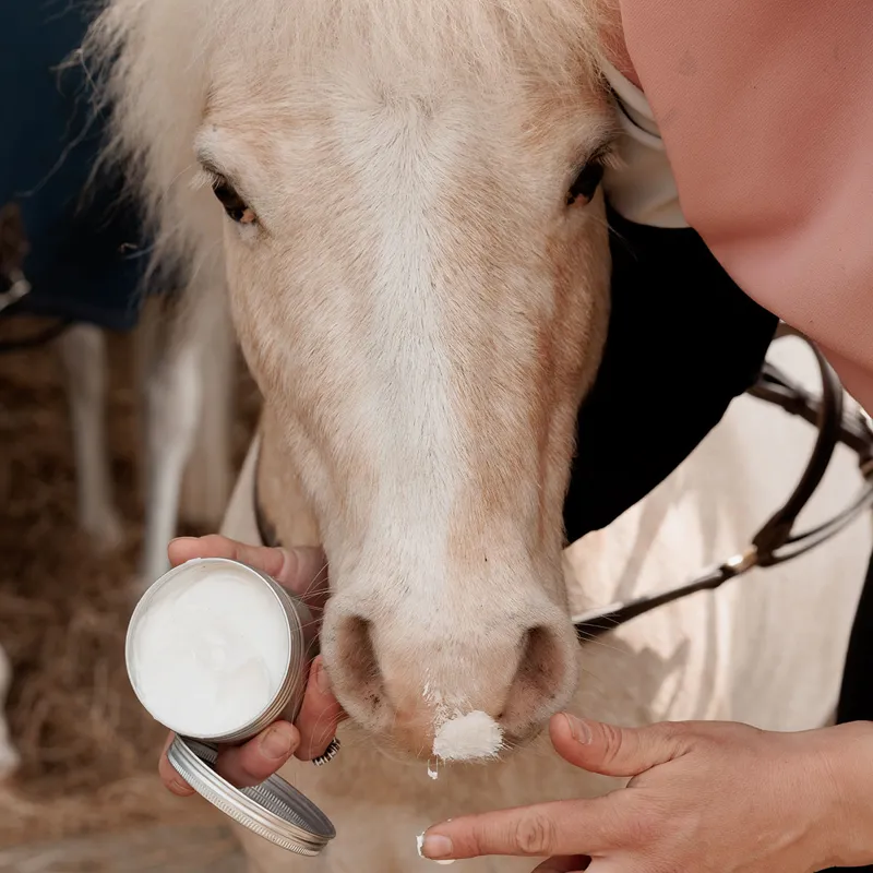 Grooming Deluxe Sunblock-2