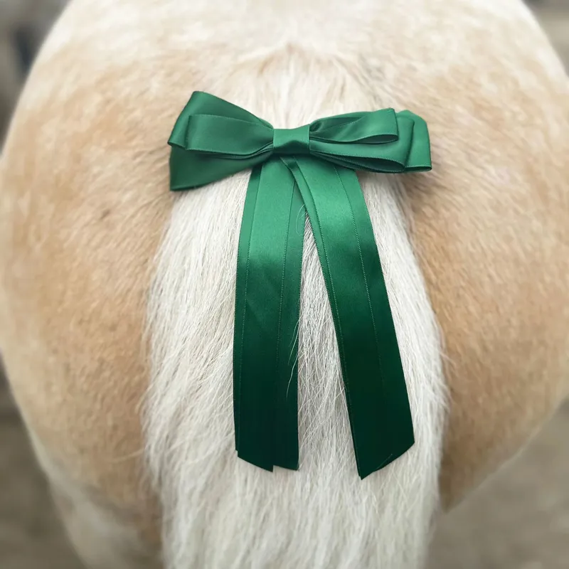 Equetech Horse Warning Competition Tail Ribbon - Green-1