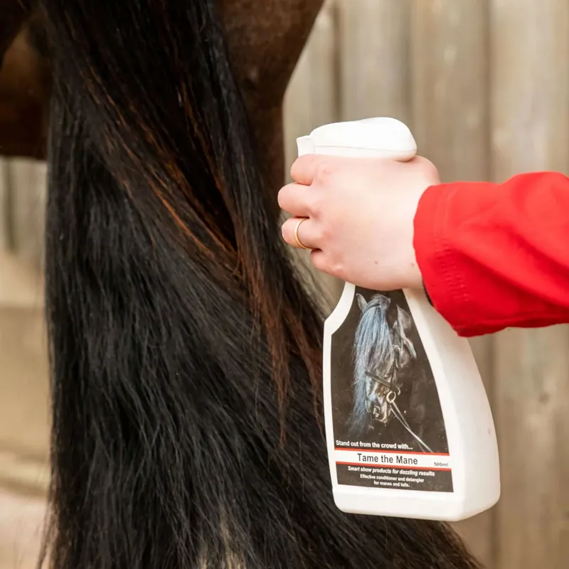 Smart Grooming Tame The Mane Spray-4