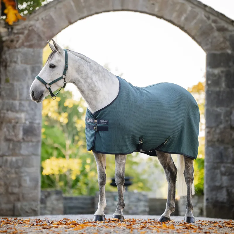 Rambo Techni-Waffle Cooler Rug - Dynasty Green/Navy/Silver-10