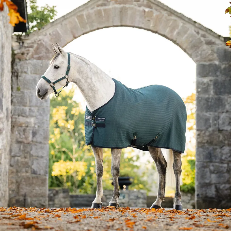 Rambo Techni-Waffle Cooler Rug - Dynasty Green/Navy/Silver-6