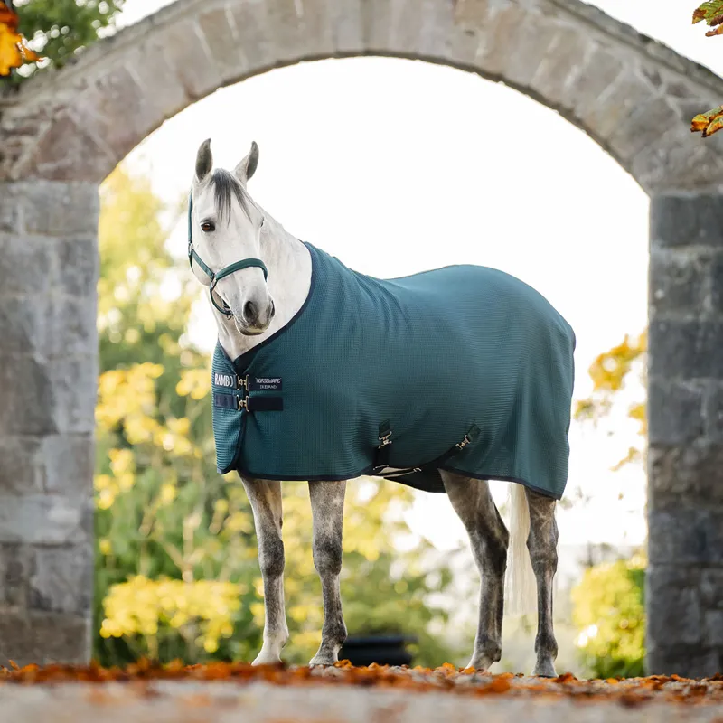 Rambo Techni-Waffle Cooler Rug - Dynasty Green/Navy/Silver-3