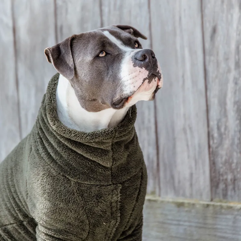Kentucky Teddy Fleece Sweater Dog Rug - Pine Green-4