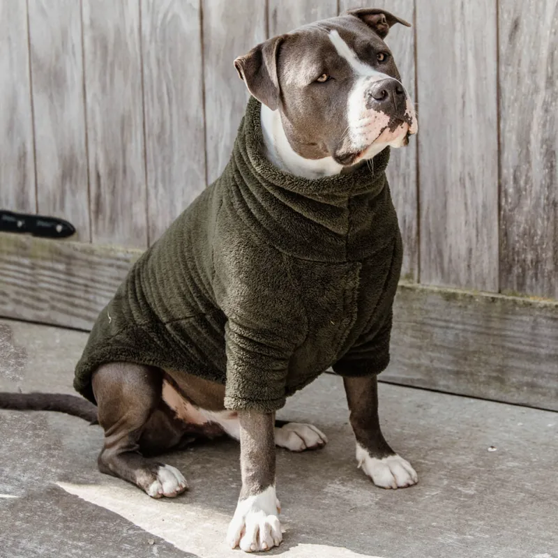 Kentucky Teddy Fleece Sweater Dog Rug - Pine Green
