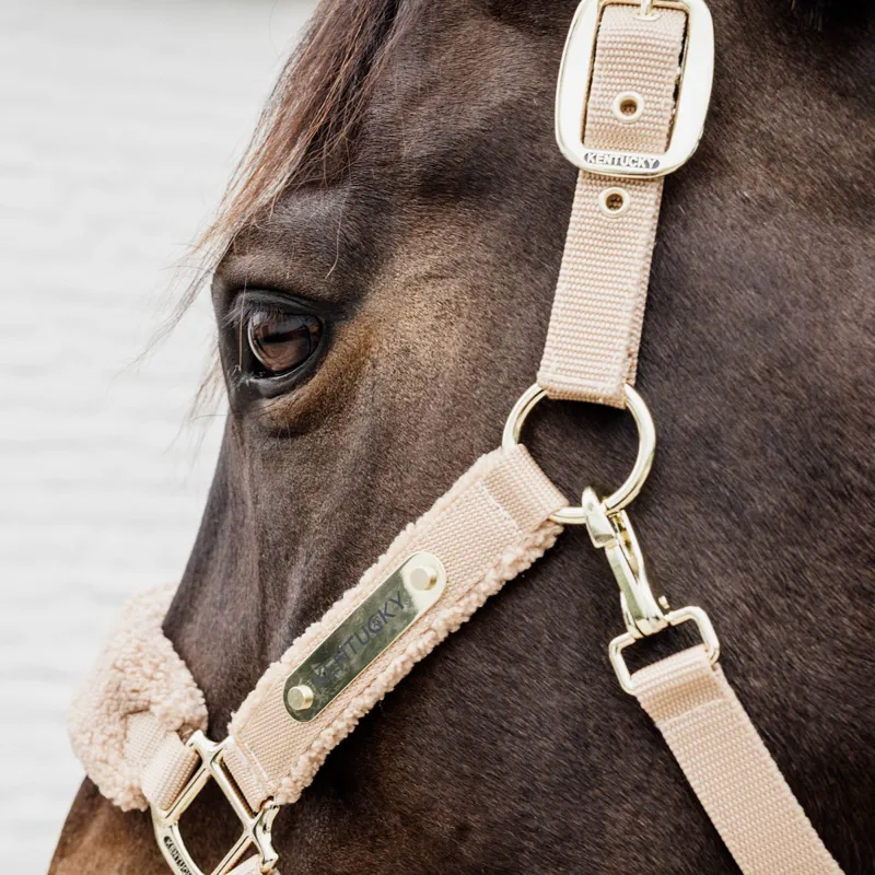 Kentucky Teddy Fleece Headcollar - Beige-2