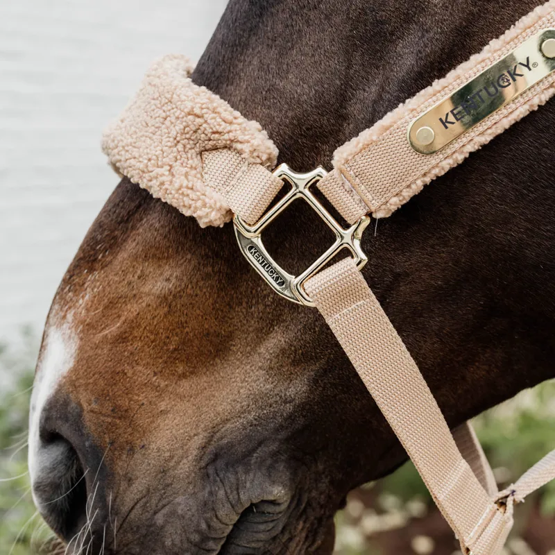 Kentucky Teddy Fleece Headcollar - Beige-3