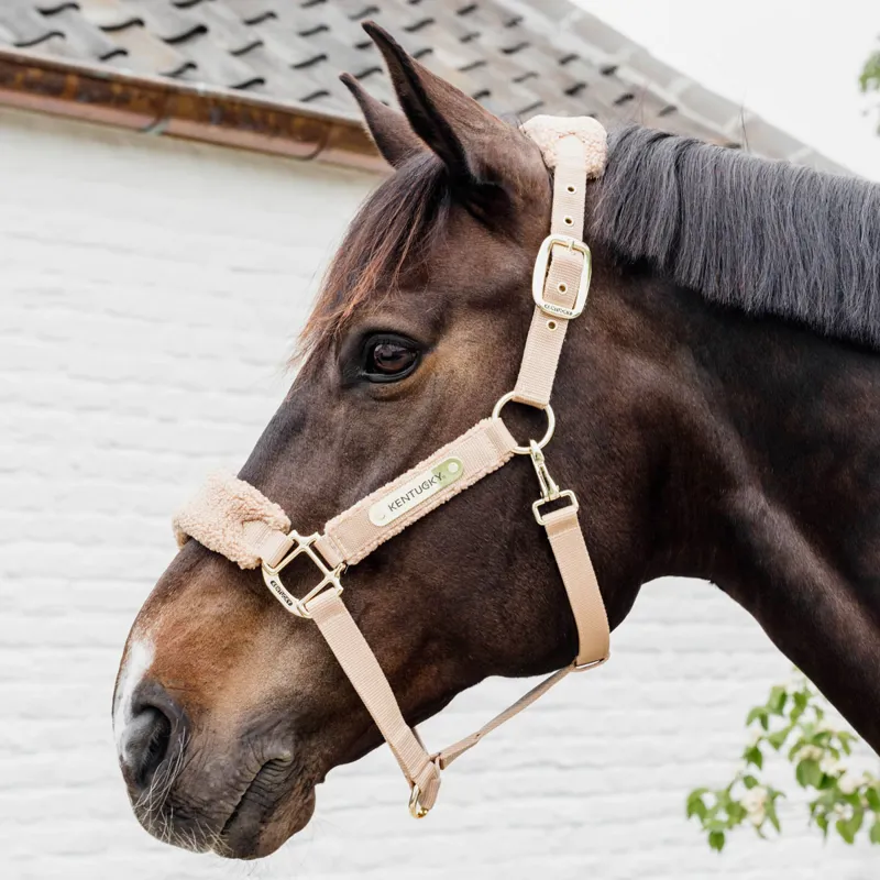 Kentucky Teddy Fleece Headcollar - Beige
