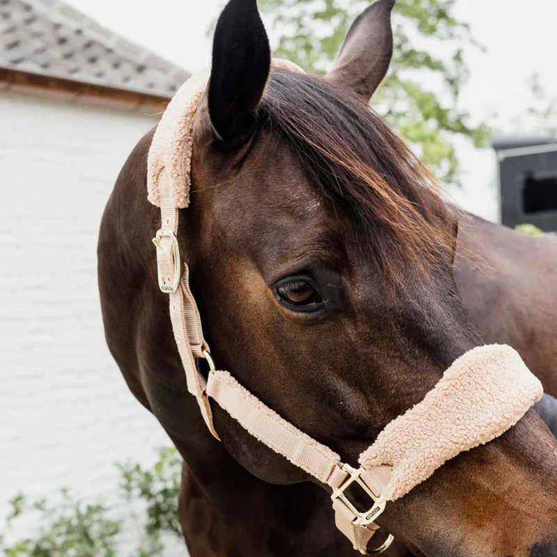 Kentucky Teddy Fleece Headcollar - Beige-4