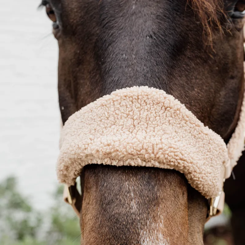 Kentucky Teddy Fleece Headcollar - Beige-5