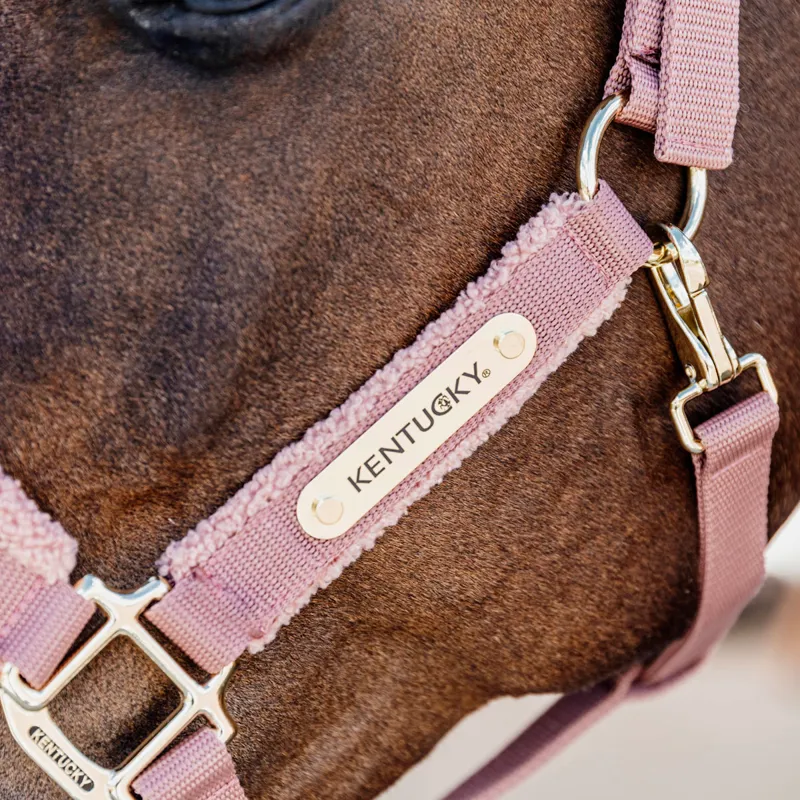 Kentucky Teddy Fleece Headcollar - Old Rose-2