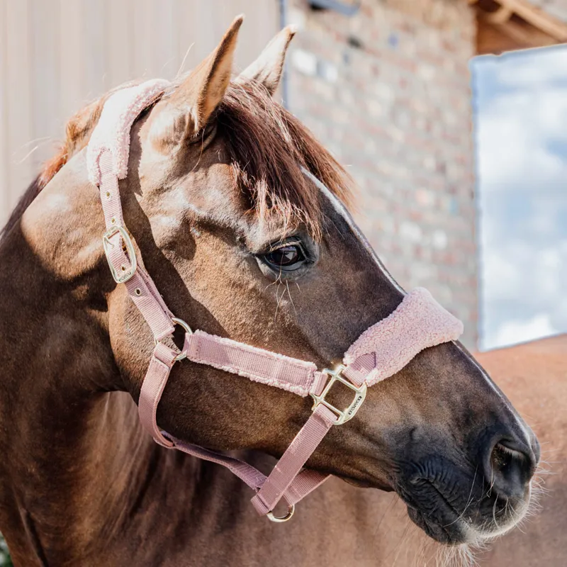 Kentucky Teddy Fleece Headcollar - Old Rose-3