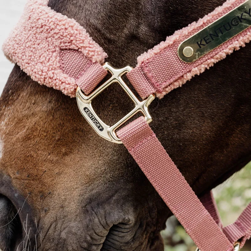 Kentucky Teddy Fleece Headcollar - Old Rose-4