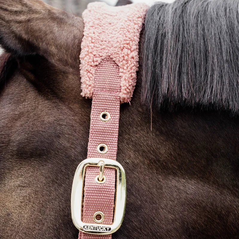 Kentucky Teddy Fleece Headcollar - Old Rose-5