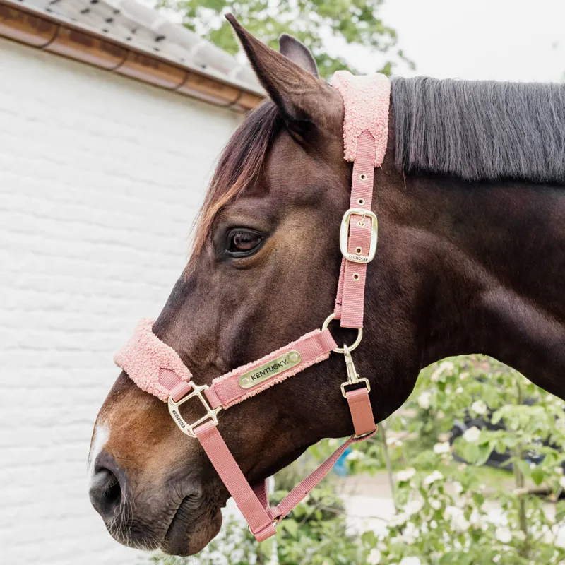Kentucky Teddy Fleece Headcollar - Old Rose-6