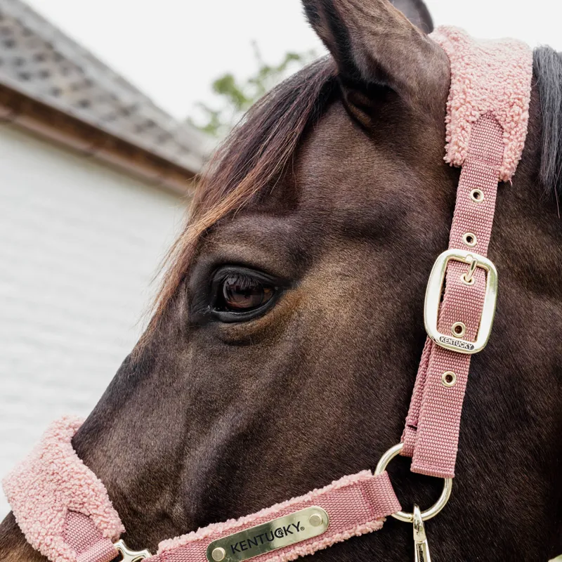 Kentucky Teddy Fleece Headcollar - Old Rose-8