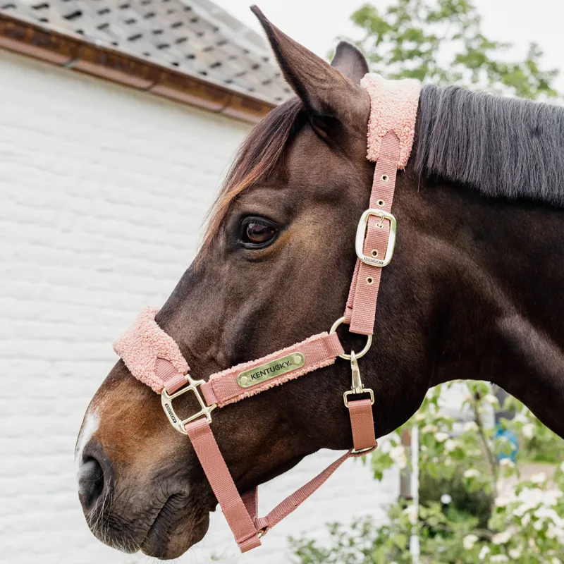 Kentucky Teddy Fleece Headcollar - Old Rose