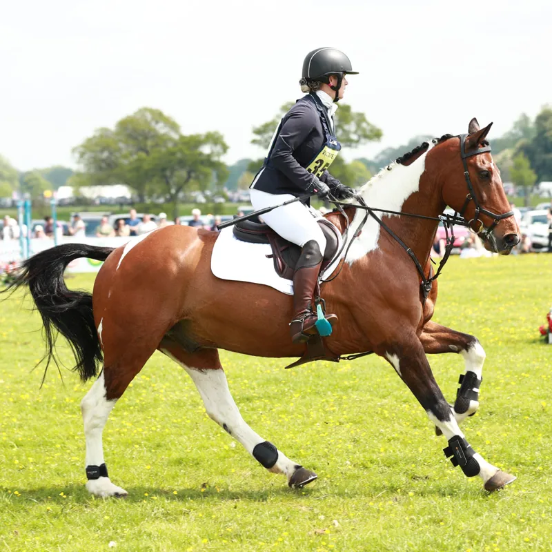 Equilibrium Tri-Zone Fetlock Boots - Black-1