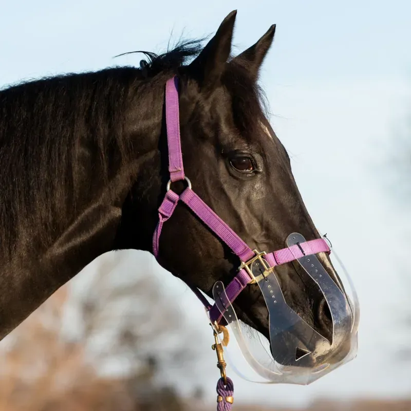 ThinLine Flexible Filly Grazing Muzzle-5