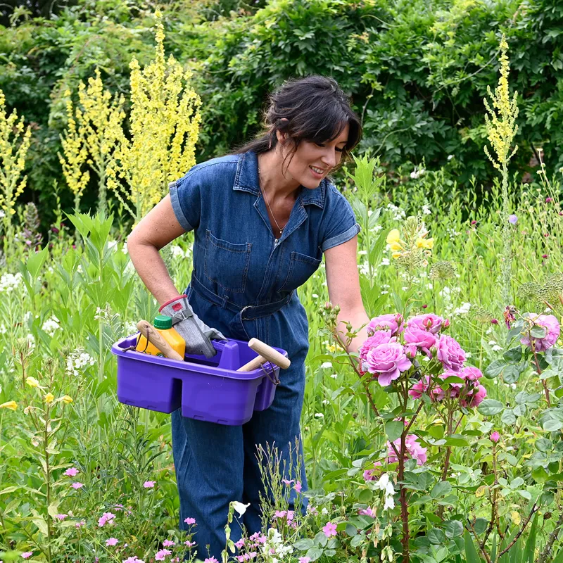 Red Gorilla Plas Tidee Tray - Purple-1