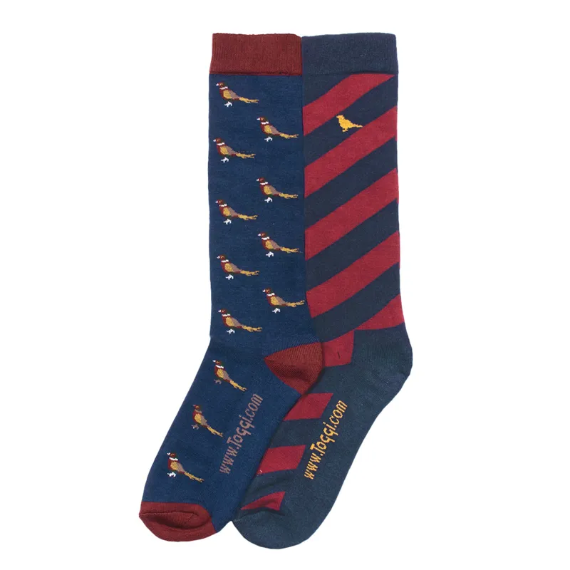 Toggi Frankland Mens Bamboo Socks 2 Pack - Blue/Sienna