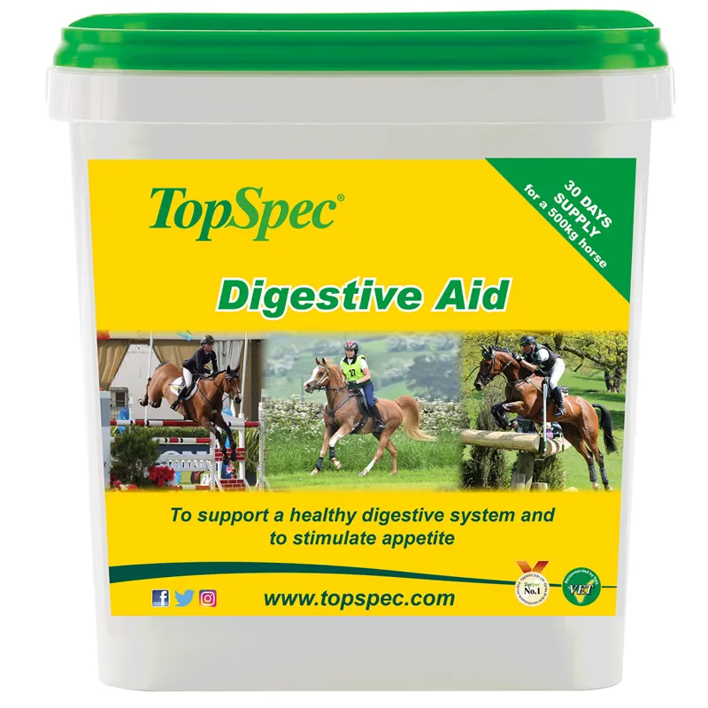 TopSpec Digestive Aid Supplement
