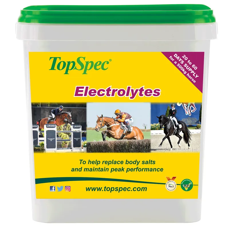 TopSpec Electrolytes Supplement