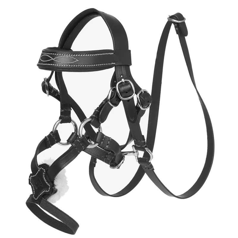 LeMieux Mini Toy Pony Grackle Bridle - Black