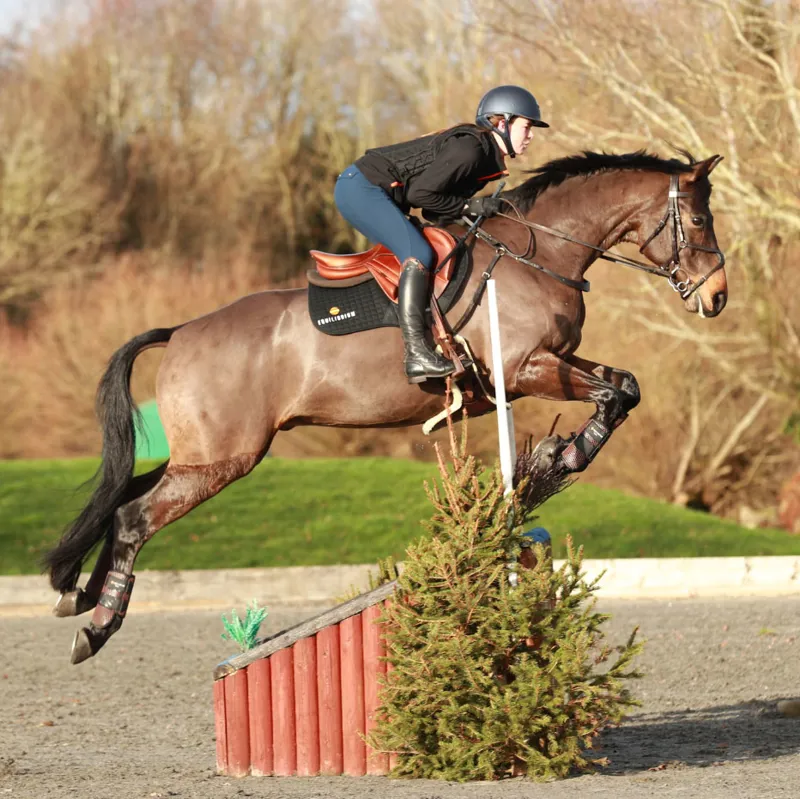 Equilibrium Tri-Zone All Sports Boots - Brown-2