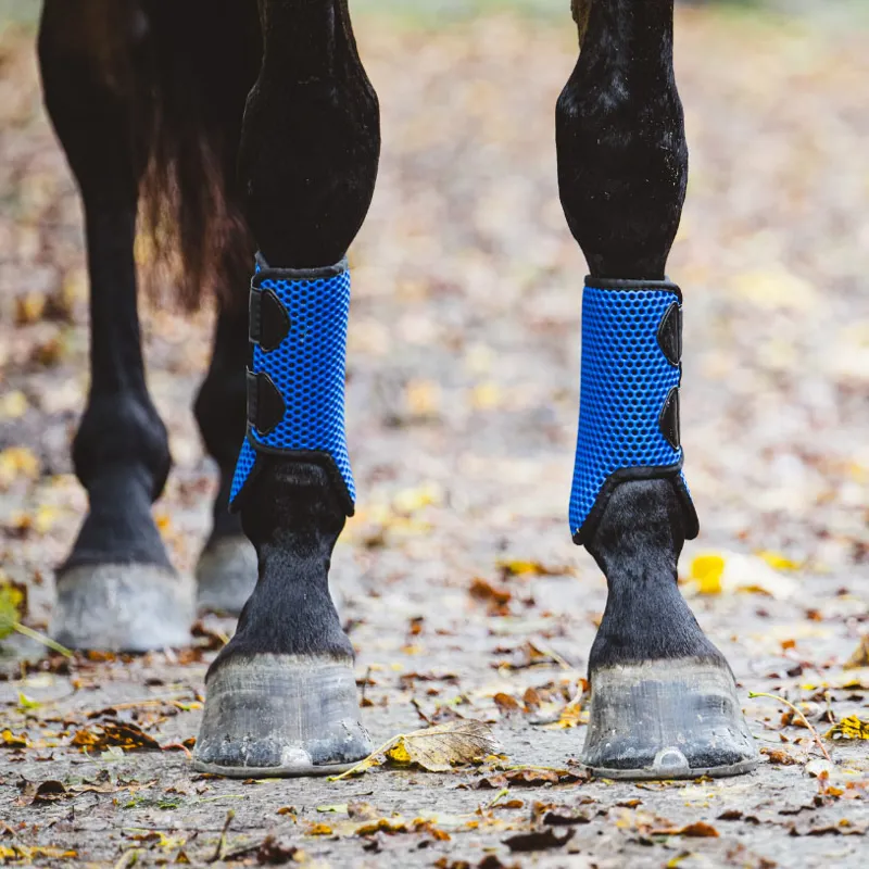 Equilibrium Tri-Zone All Sports Boots - Royal-4