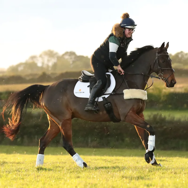 Tri zone horse boots hotsell