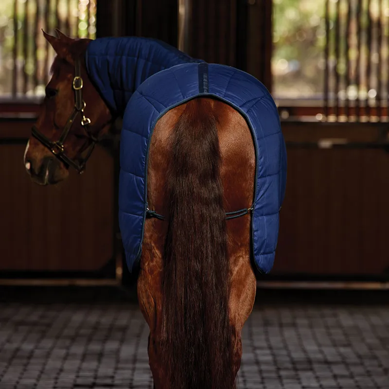 WeatherBeeta ComFiTec 220g Combo Under Rug - Navy-4