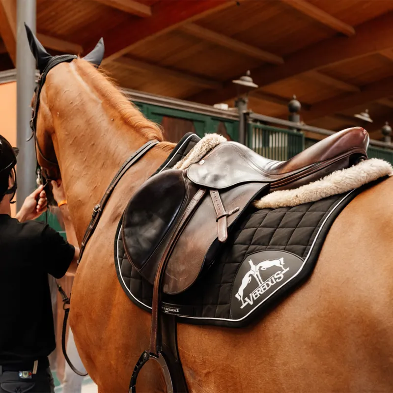 Veredus Stability Jumping Saddlecloth - Black-1