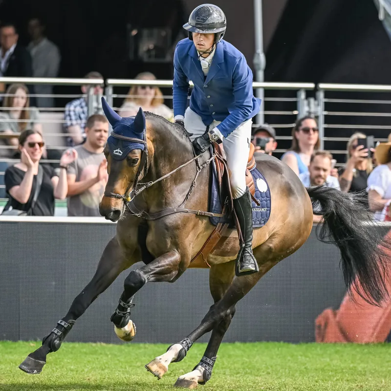 Veredus Stability Fly Fringe - Blue-2