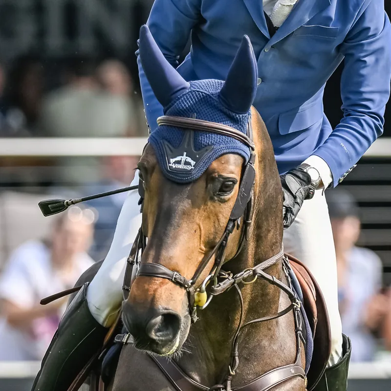 Veredus Stability Fly Fringe - Blue-1