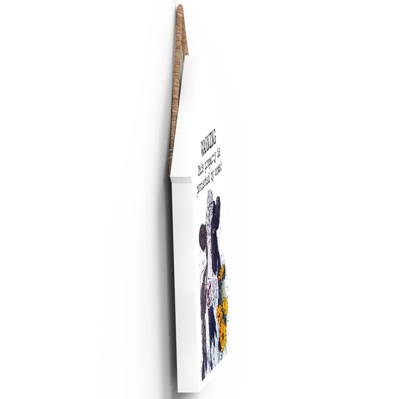 Vivid Squid Large Beach Hut Plaque - Warning-3