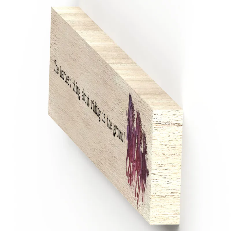 Vivid Squid Momento Block - Hardest Thing About Riding-3