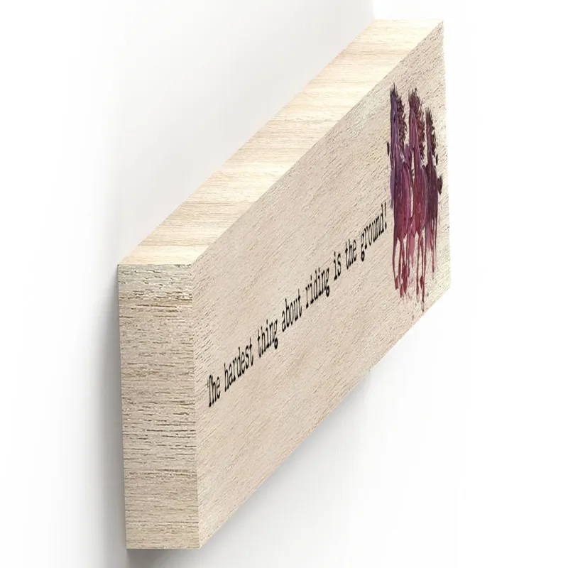 Vivid Squid Momento Block - Hardest Thing About Riding-1