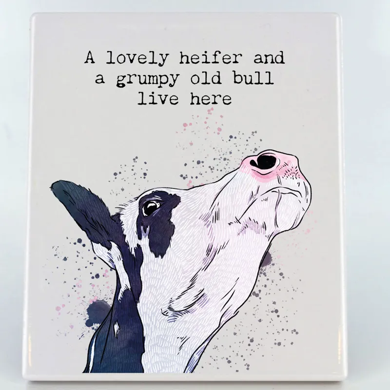 Vivid Squid Photo Panel - Grumpy Old Bull-4